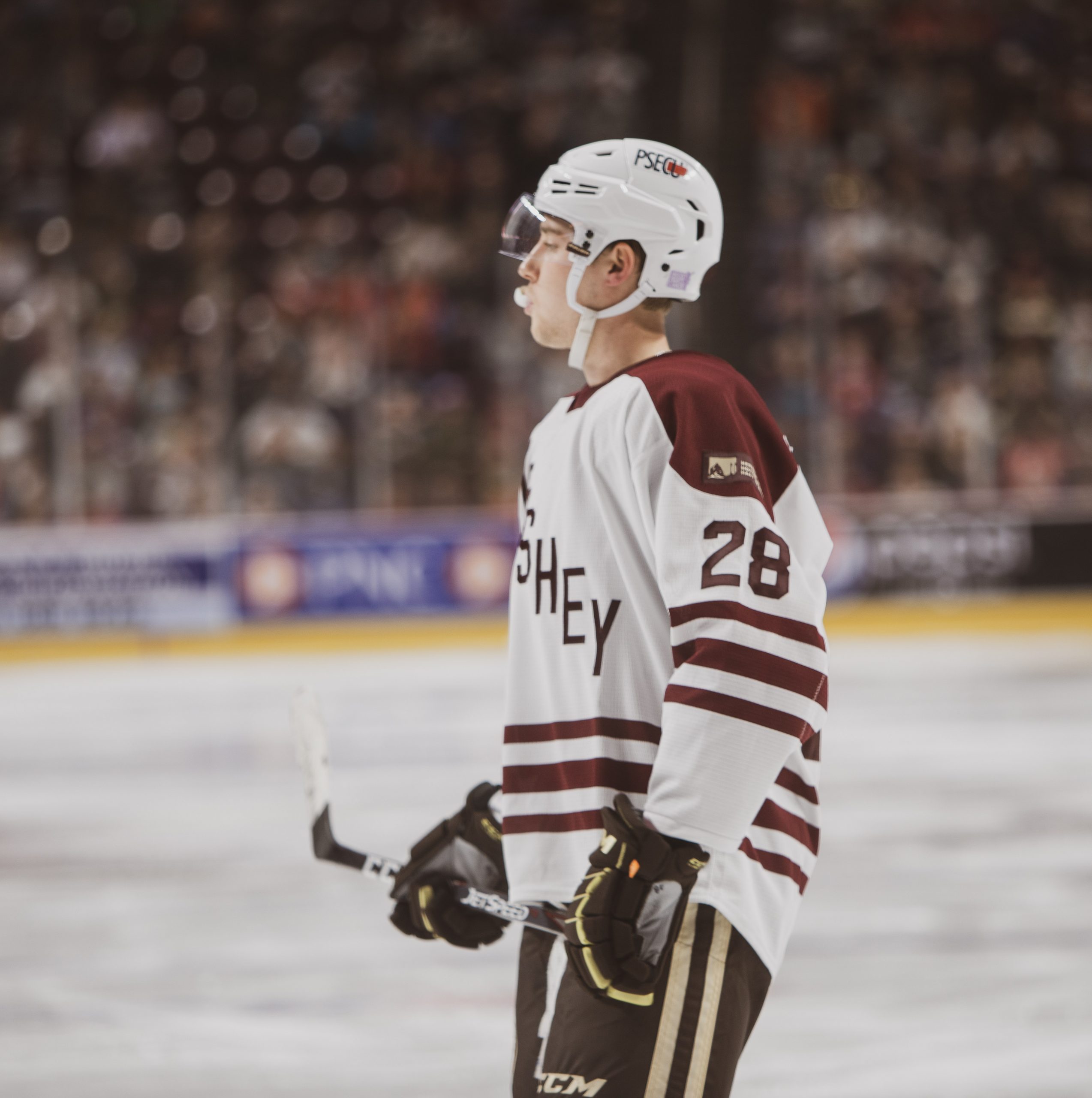 Photo Gallery: Hershey Bears Hockey Hall of Fame Night