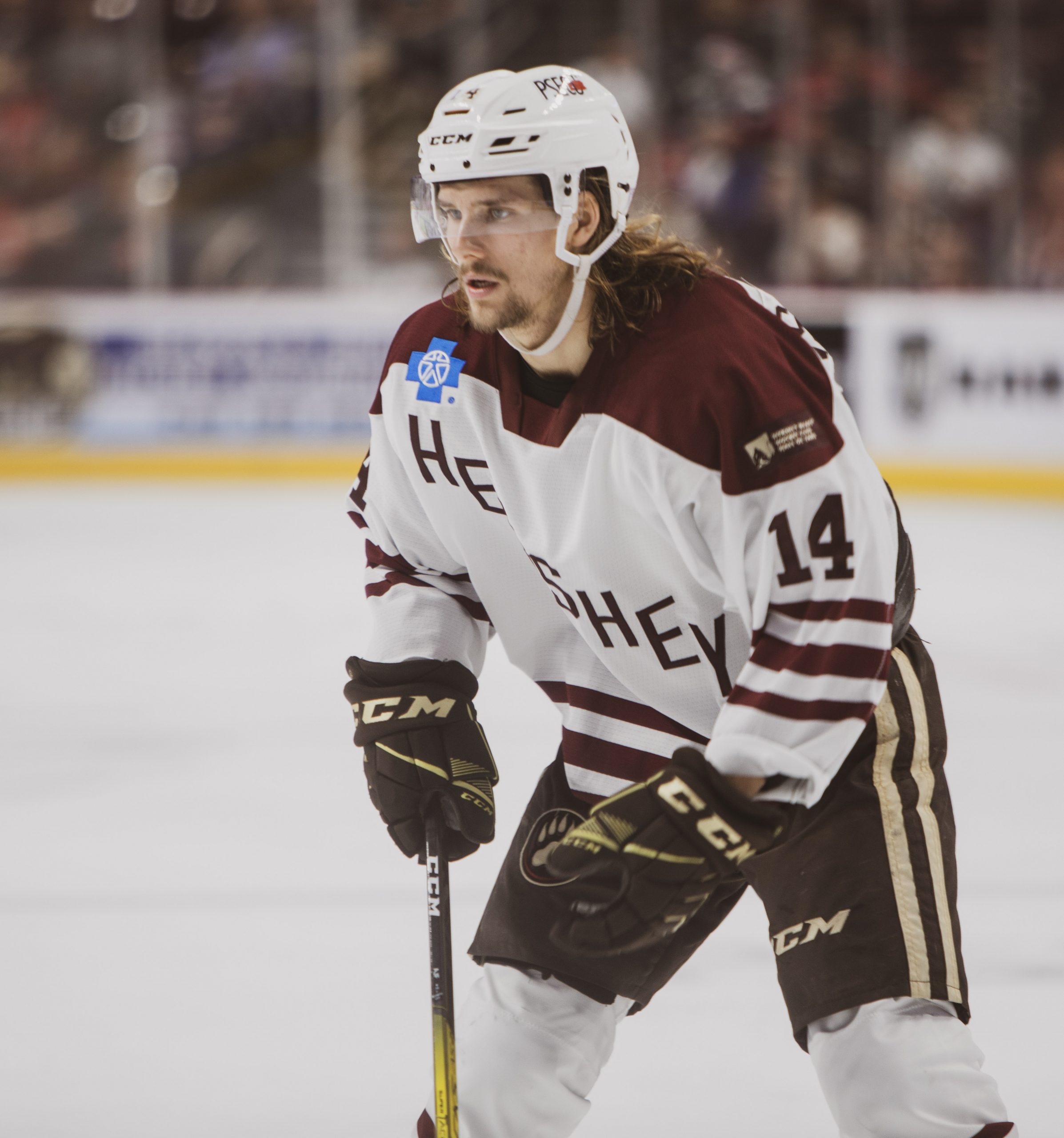 Photo Gallery: Hershey Bears Hockey Hall of Fame Night