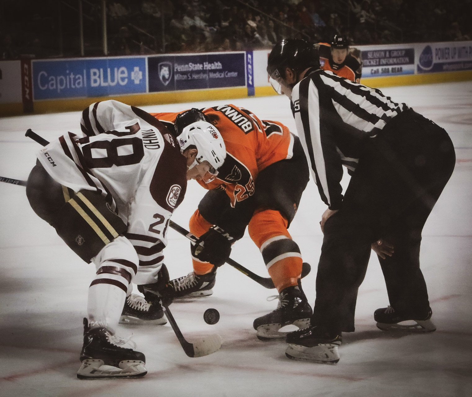 Photo Gallery: Hershey Bears Hockey Hall of Fame Night