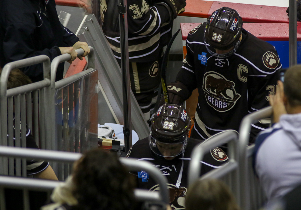 Hershey Bears lose third straight, Sports