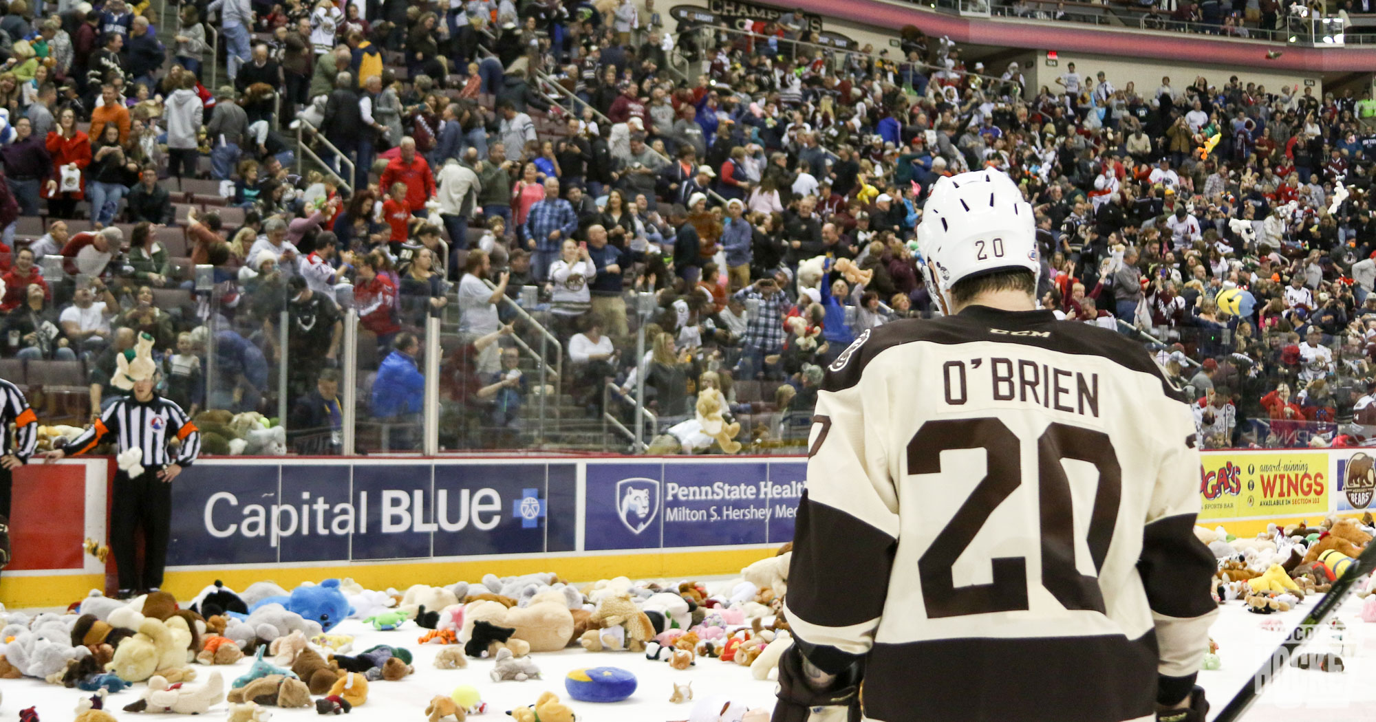 Hershey Bears 2017 Teddy Bear Toss Night 1