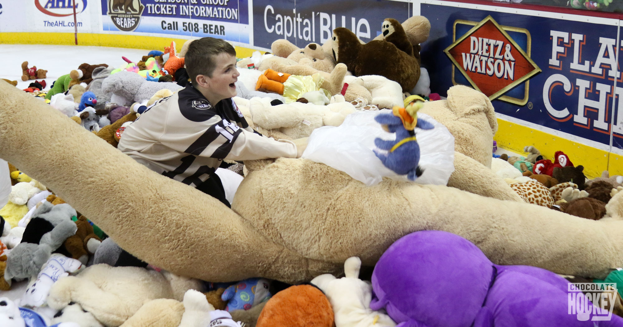 Hershey Bears 2017 Teddy Bear Toss Night 2