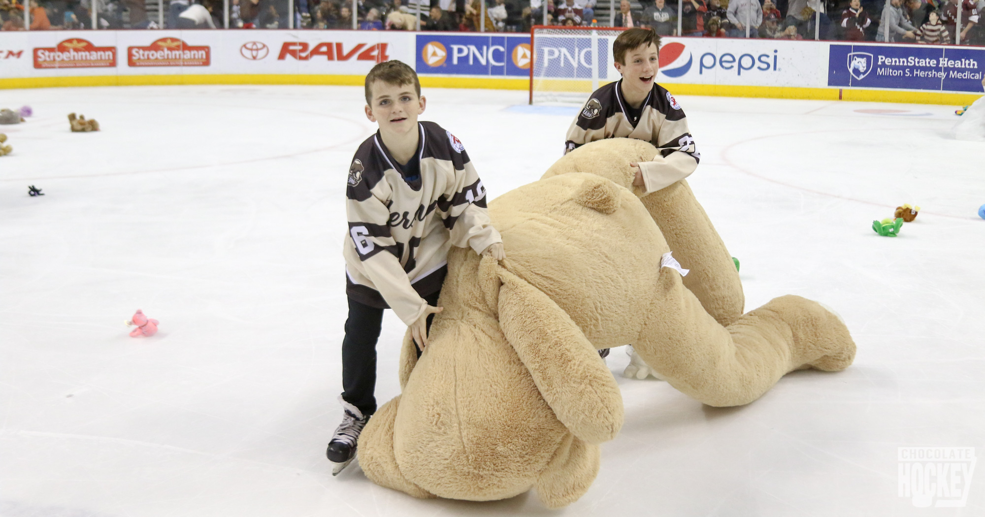 Hershey Bears 2017 Teddy Bear Toss Night 3