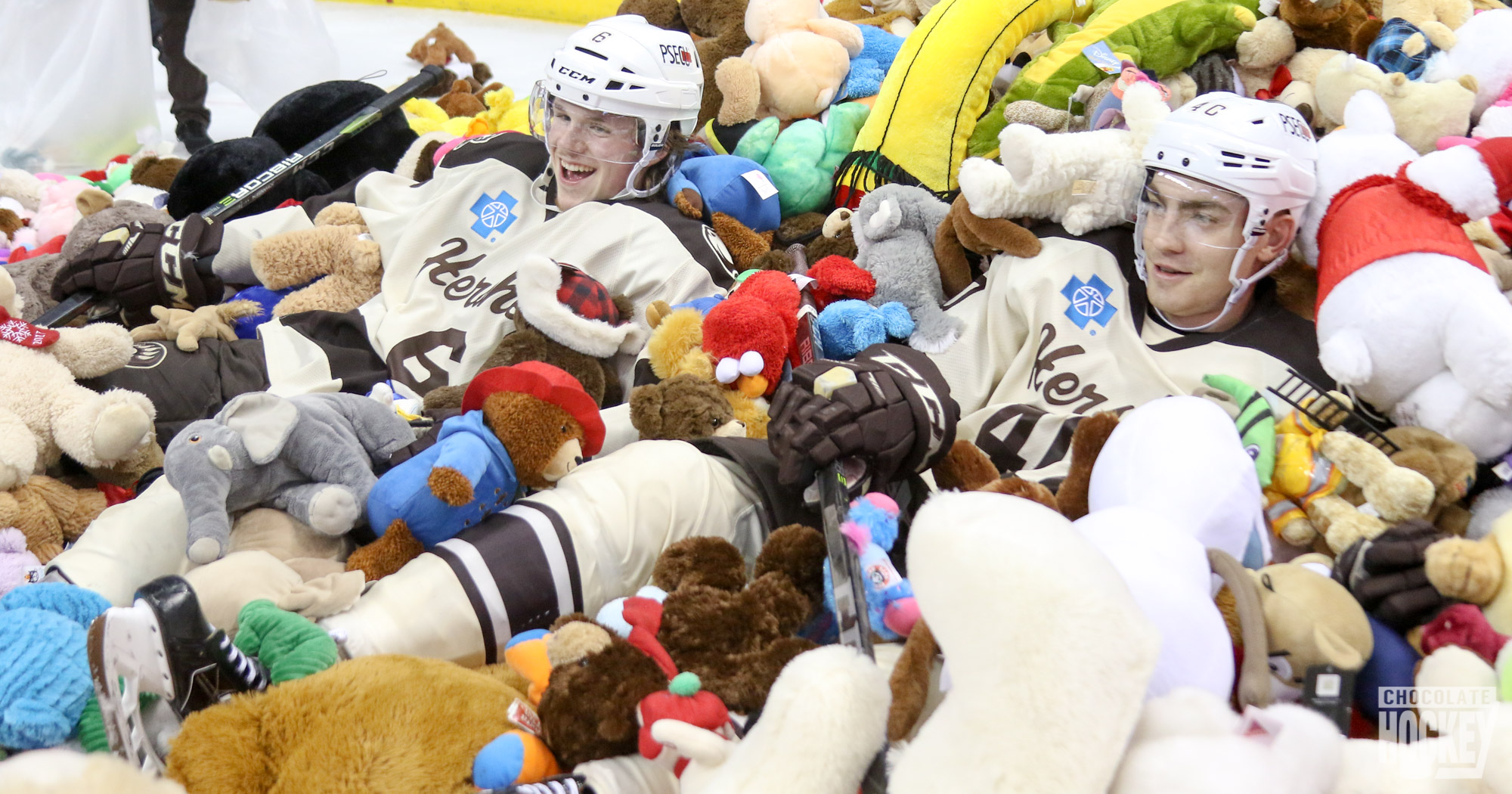 Hershey Bears teddy bear toss 