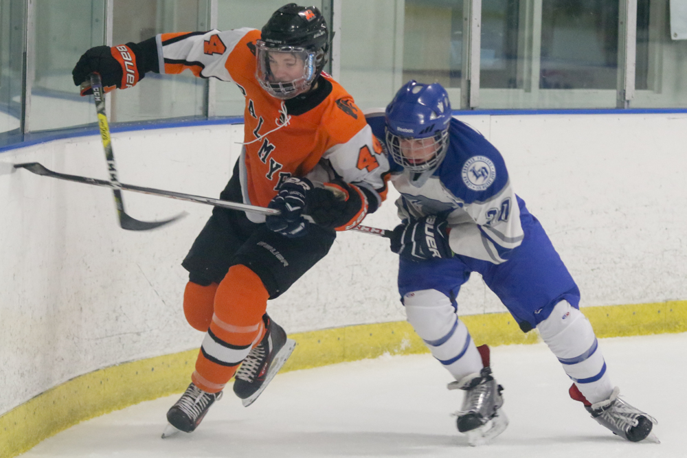 LOWER DAUPHIN PALMYRA HOCKEY 17