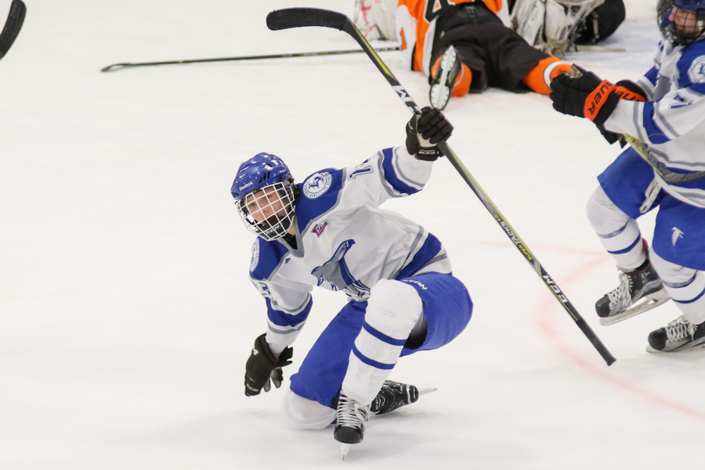 LOWER DAUPHIN PALMYRA HOCKEY 20