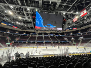 Bears on Morning Skate