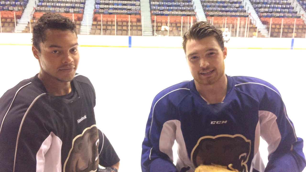 Two Canadian Hershey Bears Have A Message For Harold Reynolds