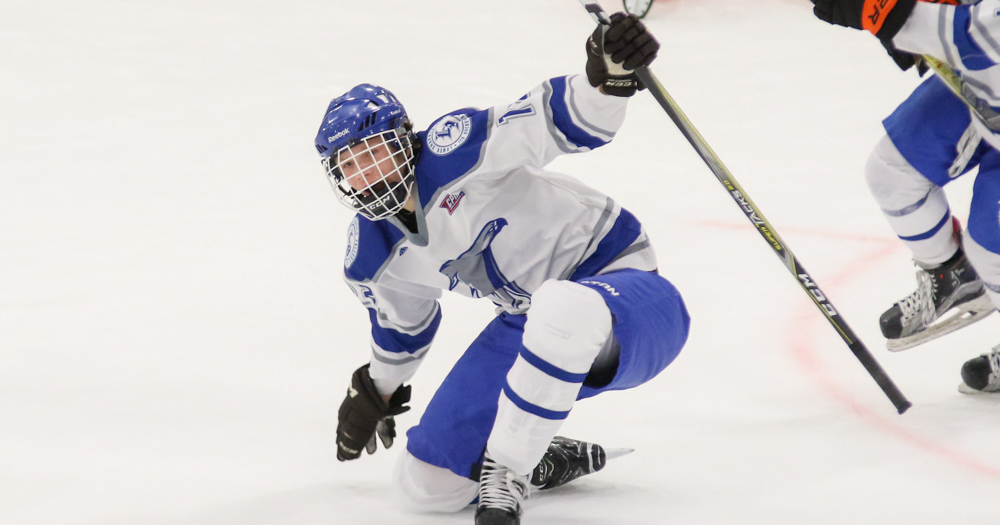 Lower Dauphin Takes Down Palmyra With Goals From Gross, Helmer