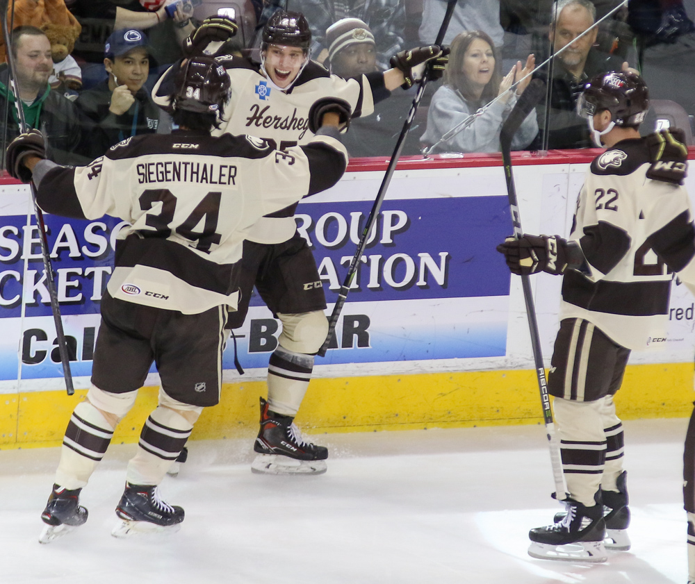 Hershey Bears Charlotte Checkers 3