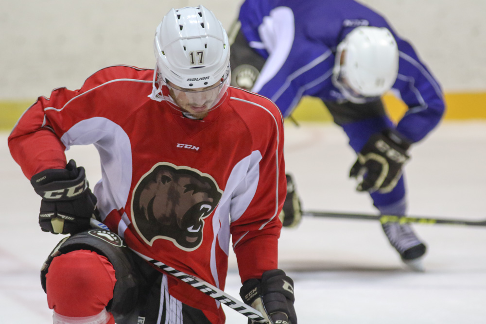 How Do Hershey Bear Players Get Their Numbers?