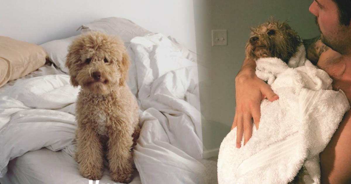 Riley Barber’s New Dog Will Melt Your Heart